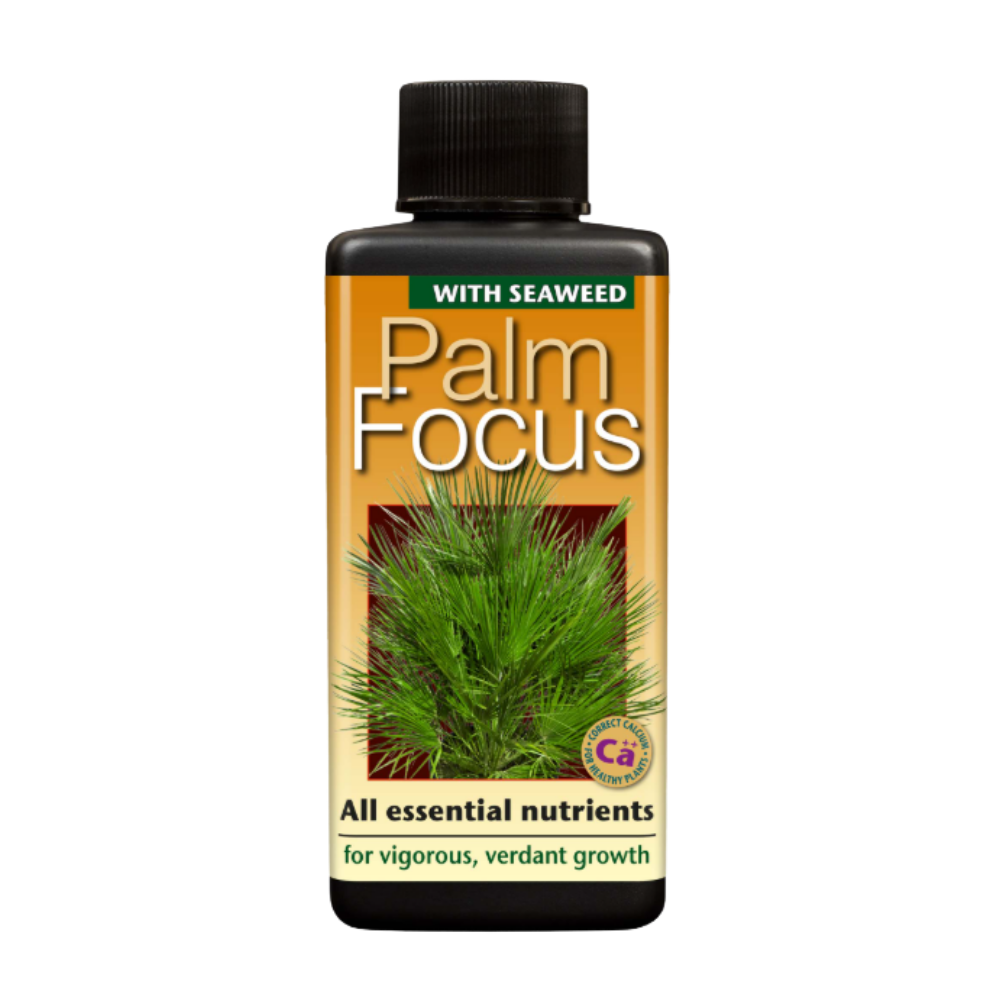 Growth Technology Palm Focus 100 ml