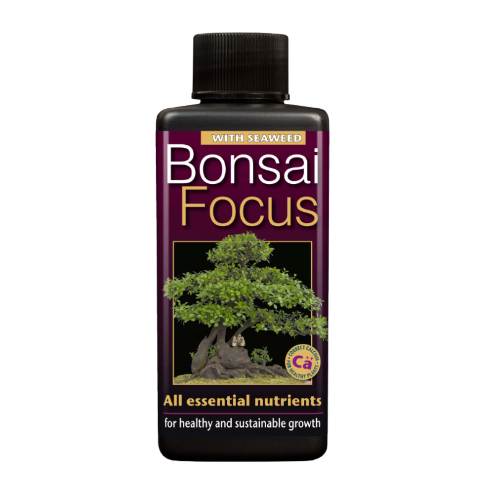 Growth Technology Bonsai Focus 100 ml