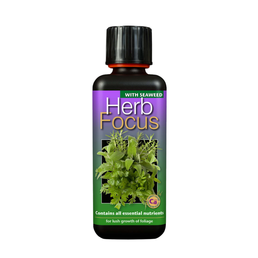 Growth Technology Herb Focus 300 ml
