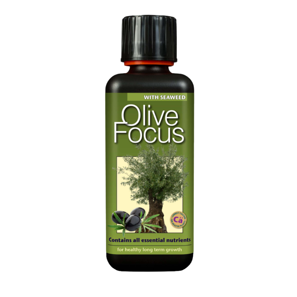 Growth Technology Olive Focus 1 Litre