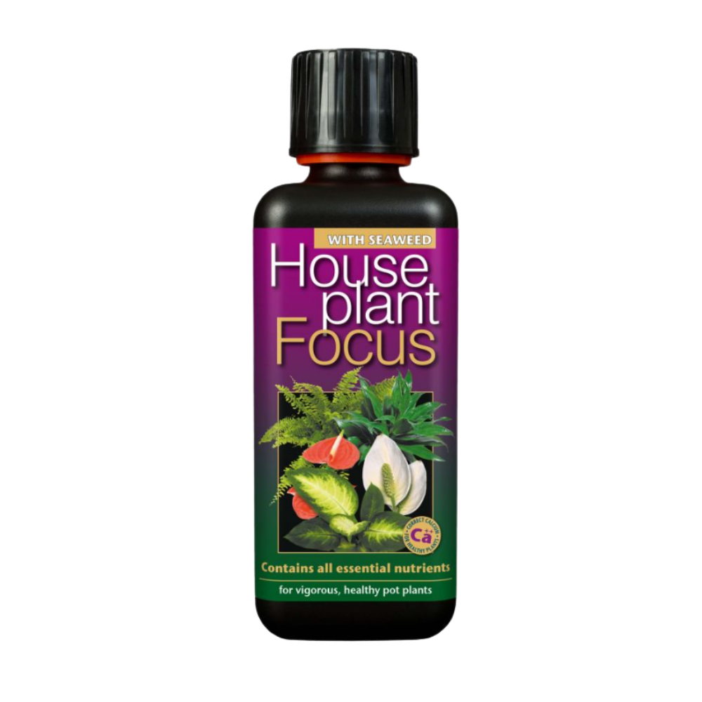 Growth Technology HousePlant Focus 100 ml