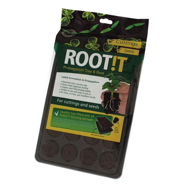 Root!T Viyol - 24 Adet