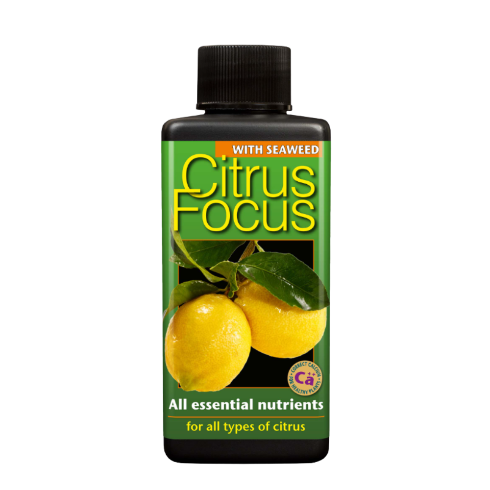 Growth Technology Citrus Focus 300 ml