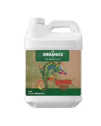 Iguana Juice Bloom 500 ml