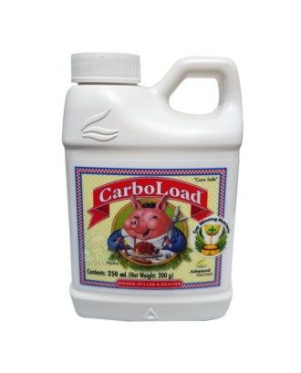 CarboLoad 250 ml    