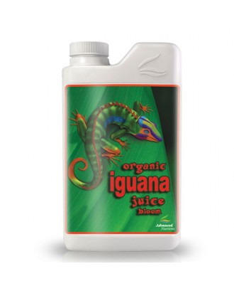 Iguana Juice Bloom 1 litre