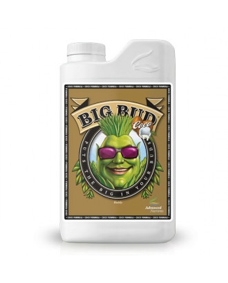 Big Bud Coco 1 litre