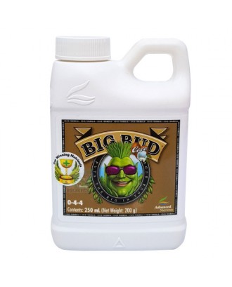 Big Bud Coco 250 ml