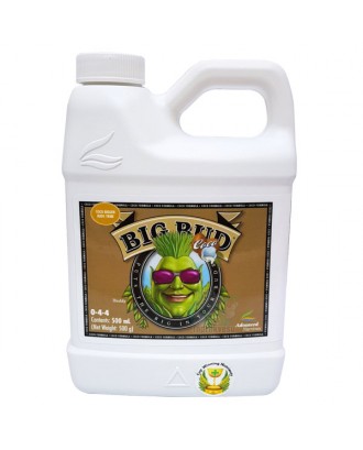 Big Bud Coco 500 ml