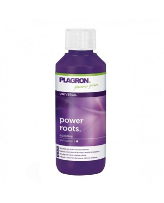 Plagron Power Roots 100 ml