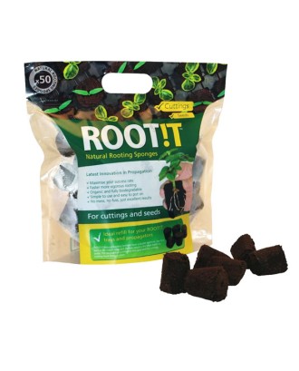 Root!T Viyol - 50 Adet