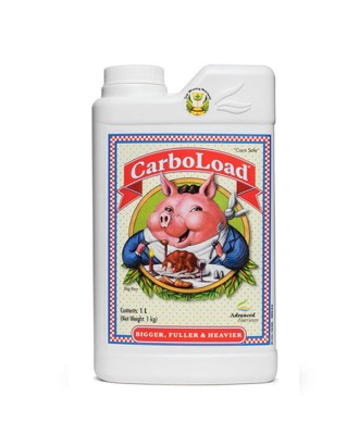 CarboLoad 1 litre