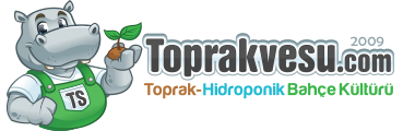 Toprakvesu.com Bilgi Bankası